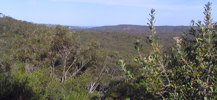 Narrabeen Lagoon Catchment