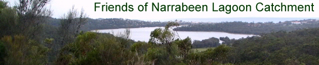Narrabeen Lagoon viewed from the west